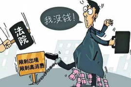 分宜对付老赖：刘小姐被老赖拖欠货款